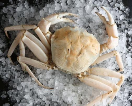 世界最貴十種蟹排行榜,阿拉斯加帝王蟹體型大,俄羅斯帝王蟹鮮美