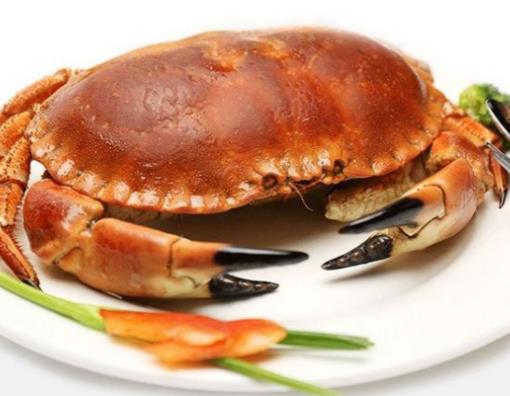 世界最貴十種蟹排行榜,阿拉斯加帝王蟹體型大,俄羅斯帝王蟹鮮美