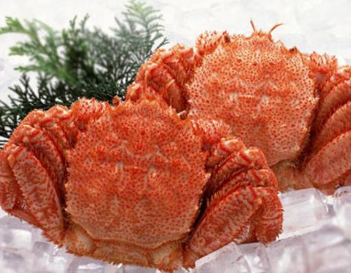 世界最貴十種蟹排行榜,阿拉斯加帝王蟹體型大,俄羅斯帝王蟹鮮美