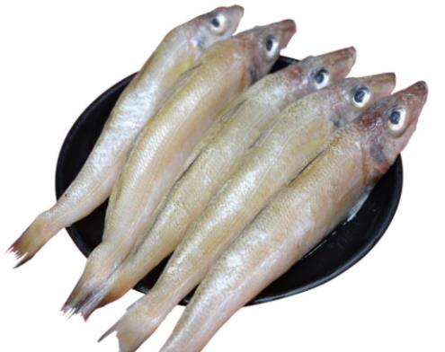 最適合孩子吃的海鮮,龍利魚有助視力健康、白對蝦促進發育