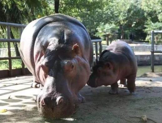 Їʮܚgӭ@VL¡Ұ硢ϺҰ@ܚgӭ