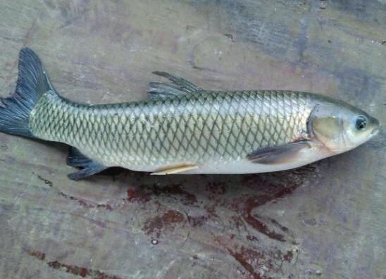 ЇԵʮNˮ~~_θa~~Ԍ