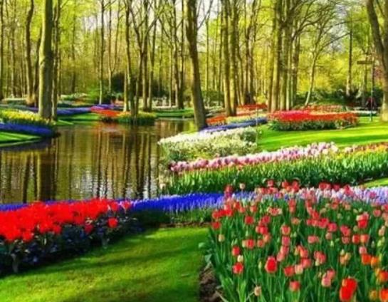 南京十大適合拍照的地方,夫子廟秦淮風(fēng)光帶有意境、玄武湖十分浪漫