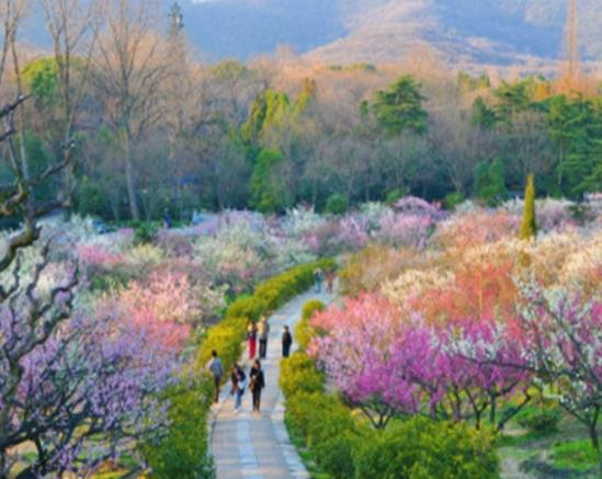 南京十大適合拍照的地方,夫子廟秦淮風(fēng)光帶有意境、玄武湖十分浪漫