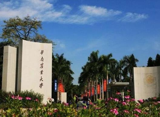十大廣東名牌大學排名,中山大學是985、華南理工大學科研實力強大