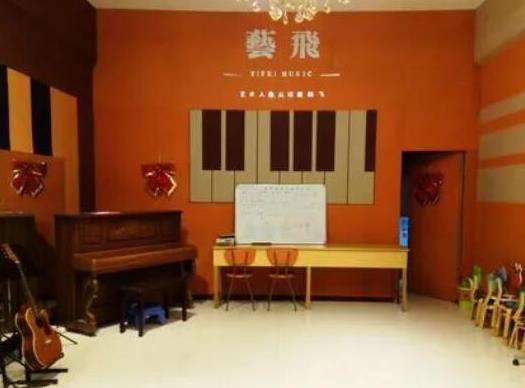 十大十大小提琴品牌排名,紅棉樂器影響力高、鳳靈小提琴售后服務好