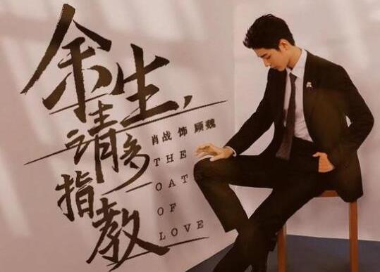 2022熱播的十部電視劇,特戰(zhàn)榮耀熱血沸騰、余生請多指教劇情緊湊