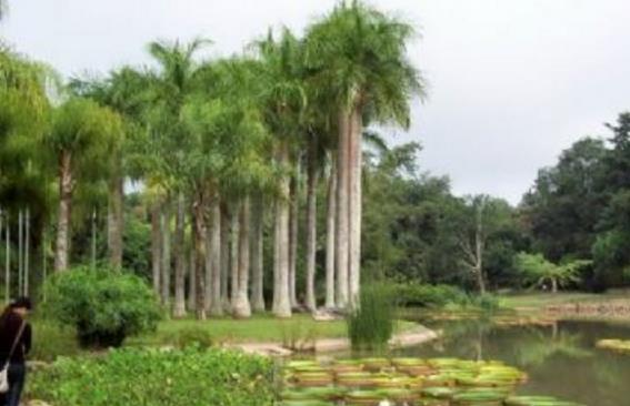 云南十大旅游景點排行榜 云南有什么好玩的地方去旅游