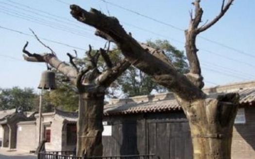 河北省保定市十大旅游景點排行榜 保定有什么好玩的地方去旅游