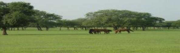 內蒙古錫林郭勒盟十大旅游景點排行榜 錫林郭勒盟有什么好玩的地方去旅游