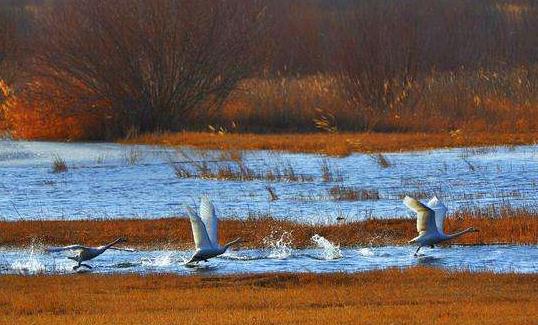 內蒙古烏海十大旅游景點排行榜 烏海有什么好玩的地方