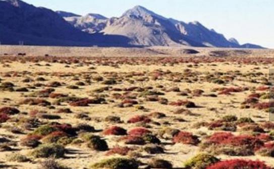 內蒙古烏海十大旅游景點排行榜 烏海有什么好玩的地方