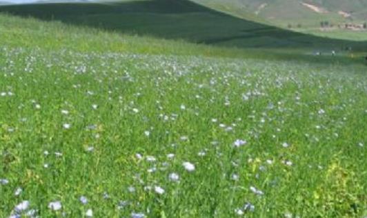 內蒙古烏海十大旅游景點排行榜 烏海有什么好玩的地方