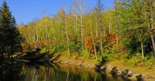 吉林省白山市十大旅游景點(diǎn)排行榜 白山有什么好玩的地方