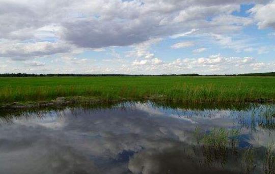 吉林省白城市十大旅游景點排行榜 白城有什么好玩的地方