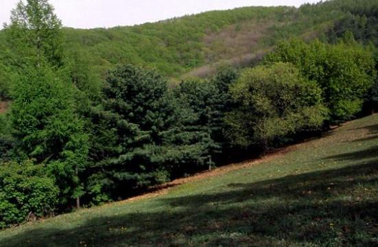 吉林省遼源市十大旅游景點排行榜 遼源有什么好玩的地方