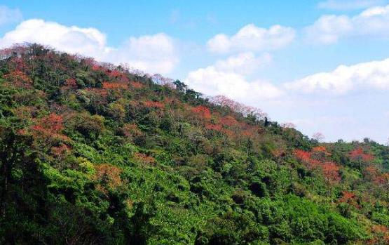 海南省白沙市十大旅游景點排行榜 白沙有什么好玩的地方