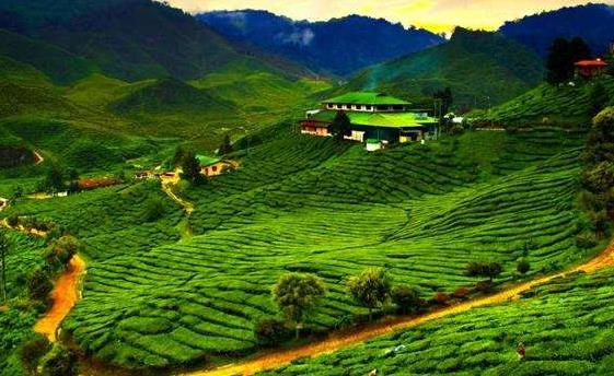 亞洲馬來西亞十大旅游景點(diǎn)排行榜 馬來西亞有什么好玩的地方