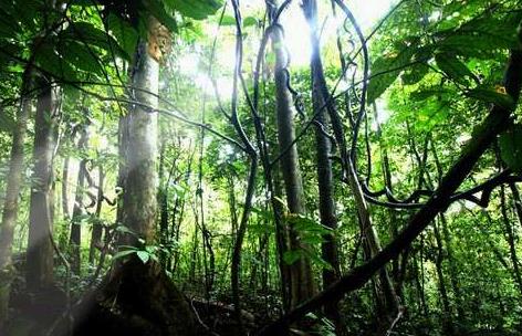 亞洲馬來西亞十大旅游景點(diǎn)排行榜 馬來西亞有什么好玩的地方