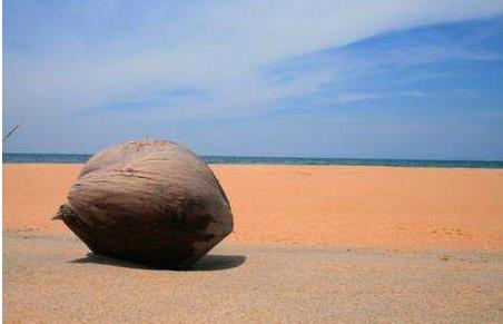 馬來西亞丁加奴州五大旅游景點排行榜 丁加奴州有什么好玩的地方