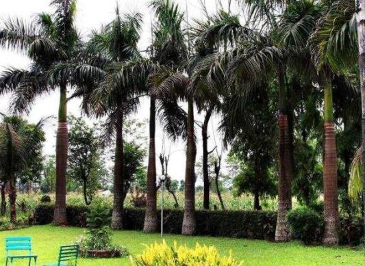 印度克久拉霍四大旅游景點(diǎn)排行榜 克久拉霍有什么好玩的地方