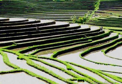 印度尼西亞巴厘島十大旅游景點排行榜 巴厘島旅游有什么好玩的地方