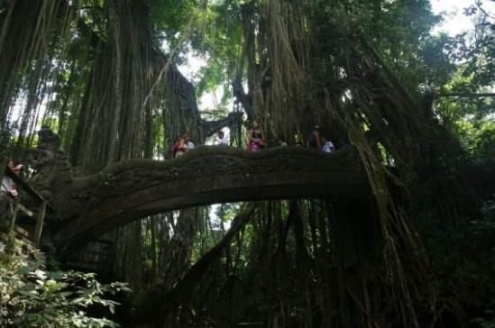 印度尼西亞巴厘島十大旅游景點排行榜 巴厘島旅游有什么好玩的地方