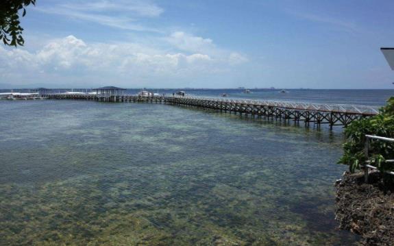 菲律賓中米沙鄢大區十大旅游景點排行榜 中米沙鄢大區旅游有什么好玩的地方