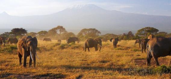非洲肯尼亞裂谷省十大旅游景點排行榜 裂谷省有什么好玩的地方