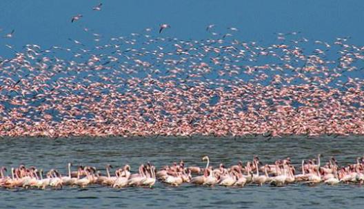 非洲肯尼亞裂谷省十大旅游景點排行榜 裂谷省有什么好玩的地方