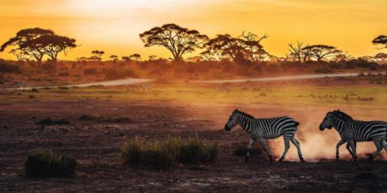 非洲肯尼亞裂谷省十大旅游景點排行榜 裂谷省有什么好玩的地方