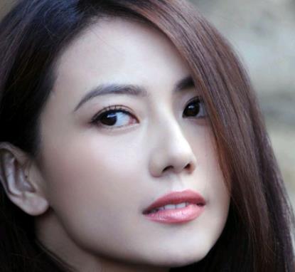 娛樂圈轉行成功的十大女星排行 林志玲有臺灣第一名模之稱