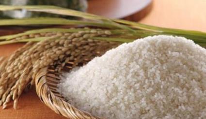 遼寧盤錦土特產品排行 香螺是我國特有的海螺品種