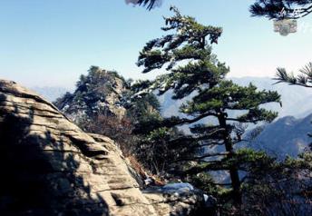 中國(guó)境內(nèi)最邪門的地方排行榜 廣州一村莊有個(gè)奇怪的倒影塘