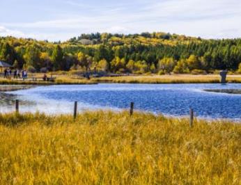 盤點中國賞秋勝地 木蘭圍場十月最美的塞上秋景