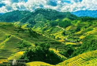 中國(guó)境內(nèi)最邪門的地方排行榜 廣州一村莊有個(gè)奇怪的倒影塘