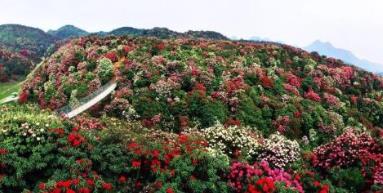 中國適合春季旅游的5a景區 杭州西湖風景名勝區位于杭州市中心