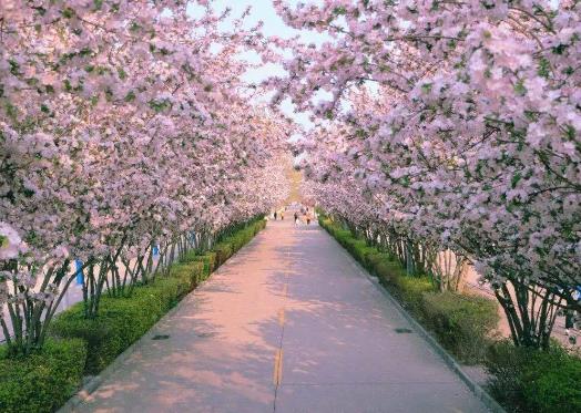 hѻʲôr_hęѻʲôrY