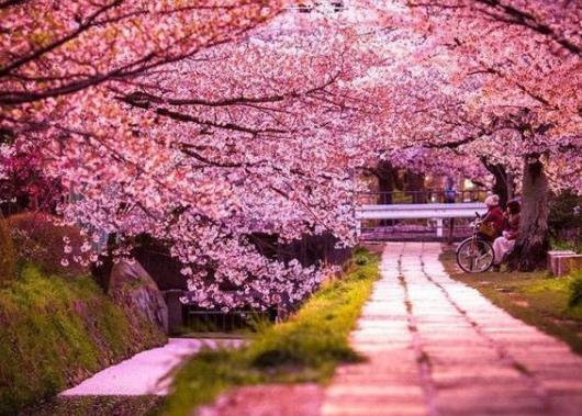 ѮȥhWѻ᣿3ȥhѻҪzy