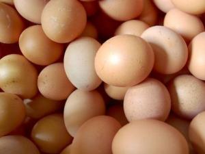 蛋應該怎么吃？吃蛋的注意事項