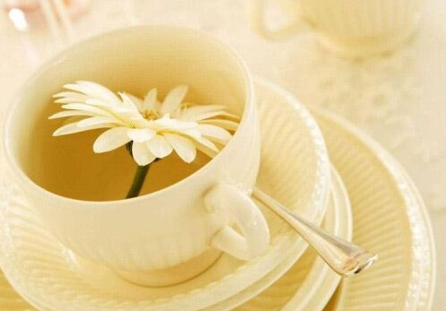 小孩能喝茶飲料嗎?茶飲料的功效