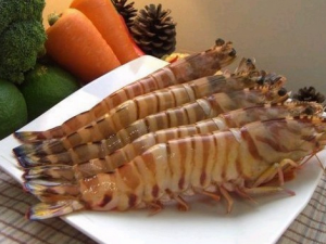 食用斑節蝦的注意事項-斑節蝦的做法