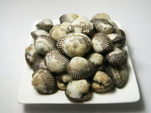 毛蚶怎么做好吃?毛蚶的簡介-毛蚶的做法