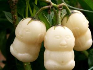 人參果怎么吃最養生?人參果的功效和作用