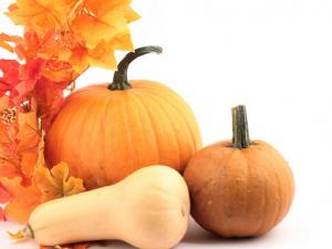 南瓜的營養(yǎng)價值-為什么南瓜是老的好？