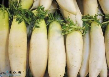 吃白蘿卜有什么好處?白蘿卜的營養(yǎng)價值及功效與作用