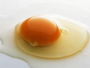 雞蛋有哪些營養成分?雞蛋的營養成分分析