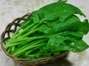 吃菠菜有什么好處?菠菜的功效與營養價值