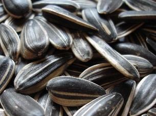 葵花籽(瓜子)的營養價值