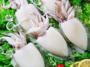 吃墨魚有什么好處?墨魚的營養(yǎng)價值